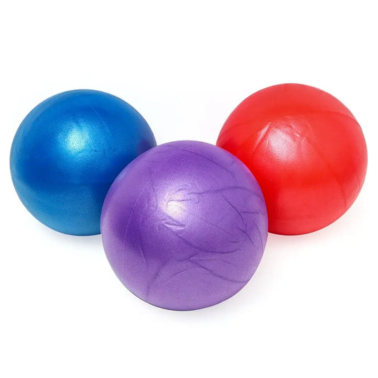 25cm PVC Training & Exercise Balls