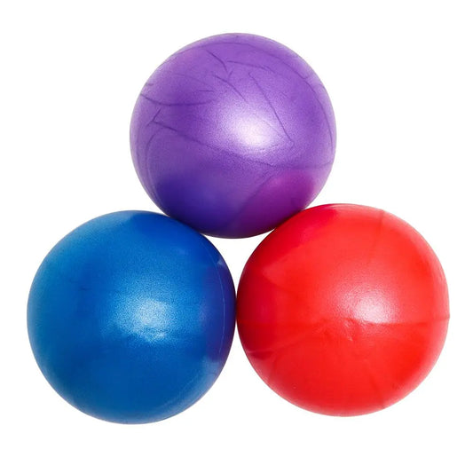 25cm PVC Training & Exercise Balls